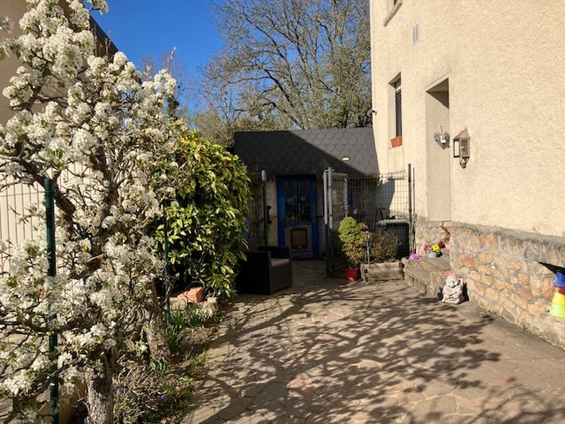 Image 12