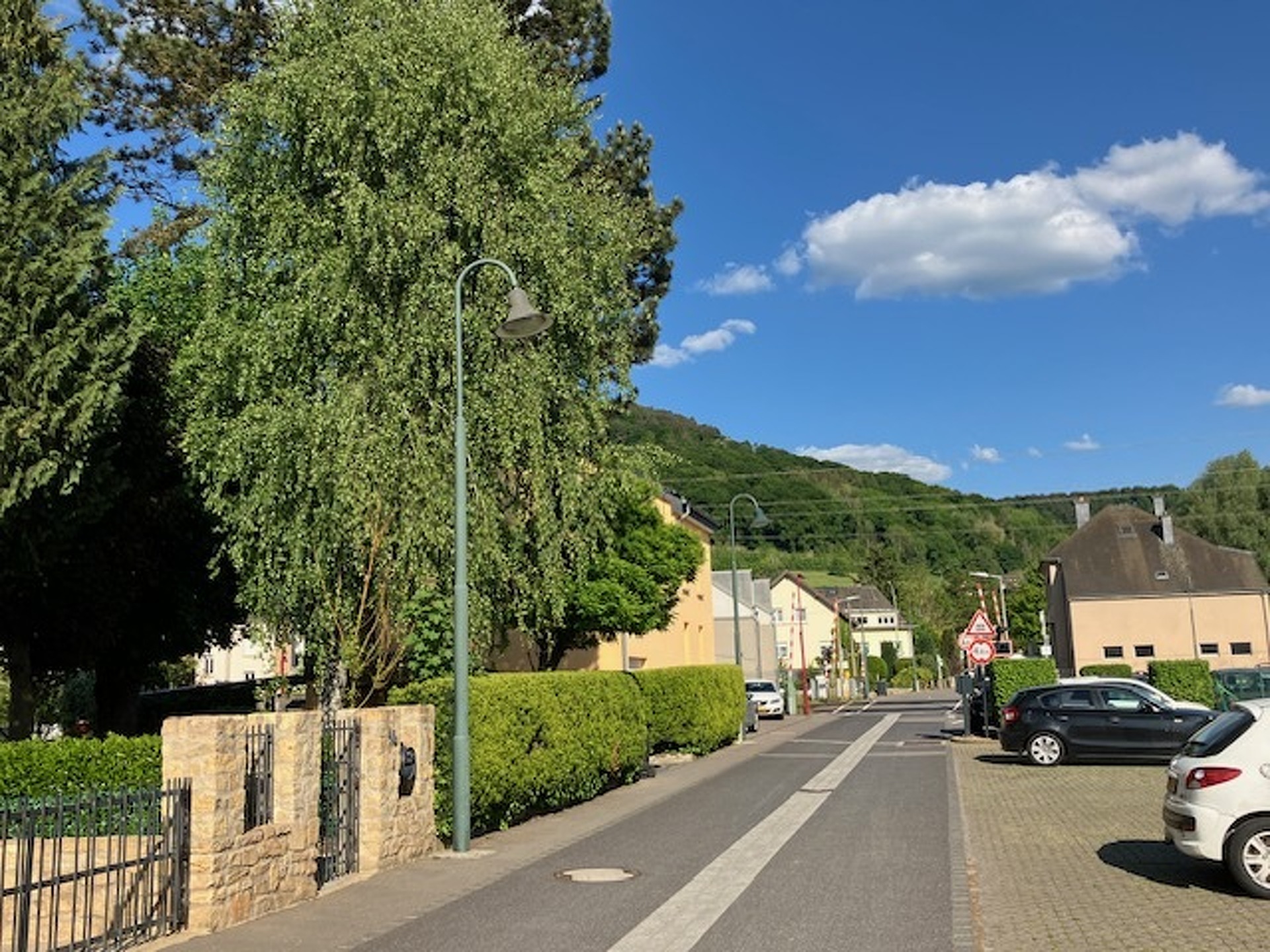 Image 8