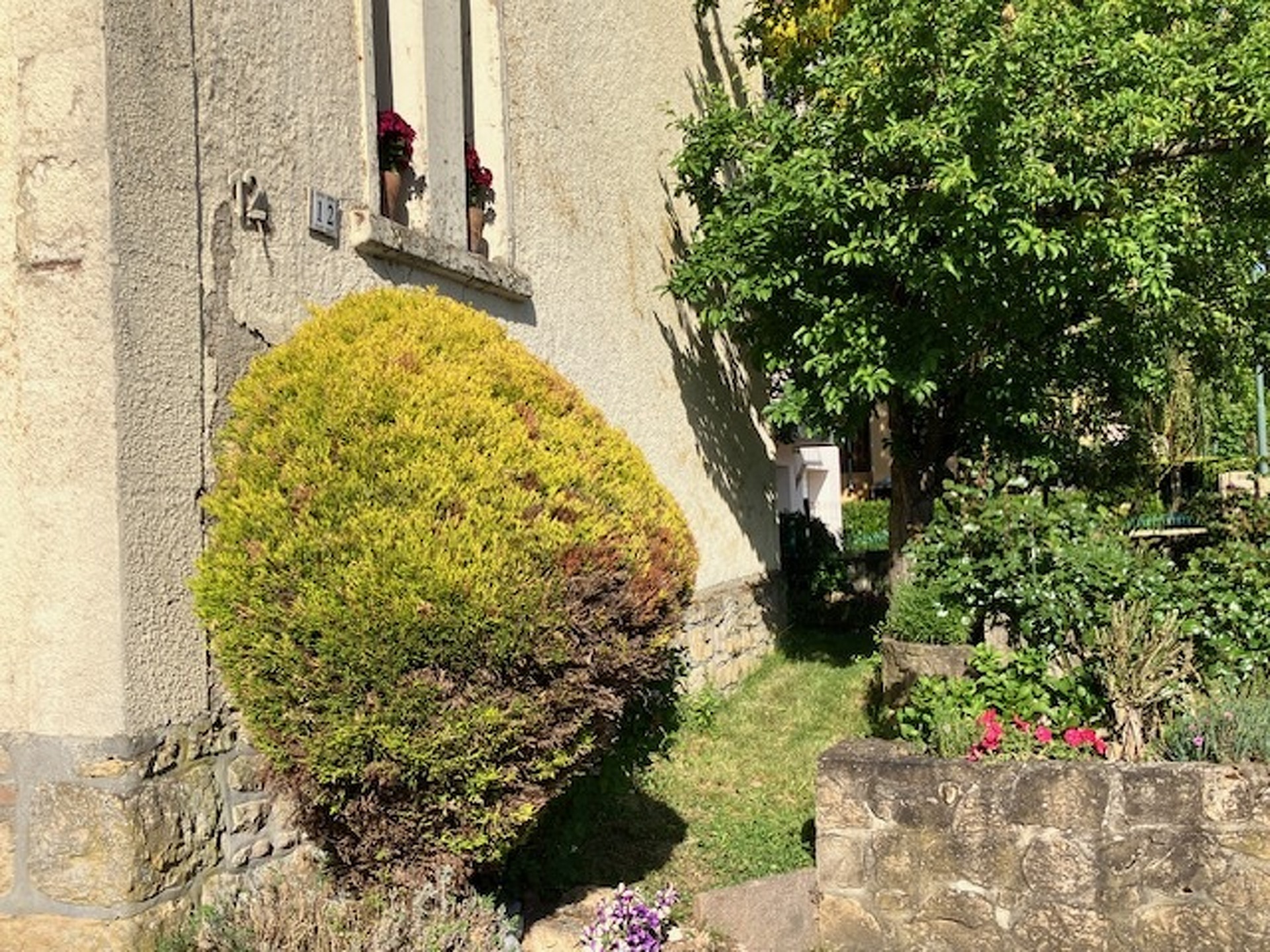 Image 11