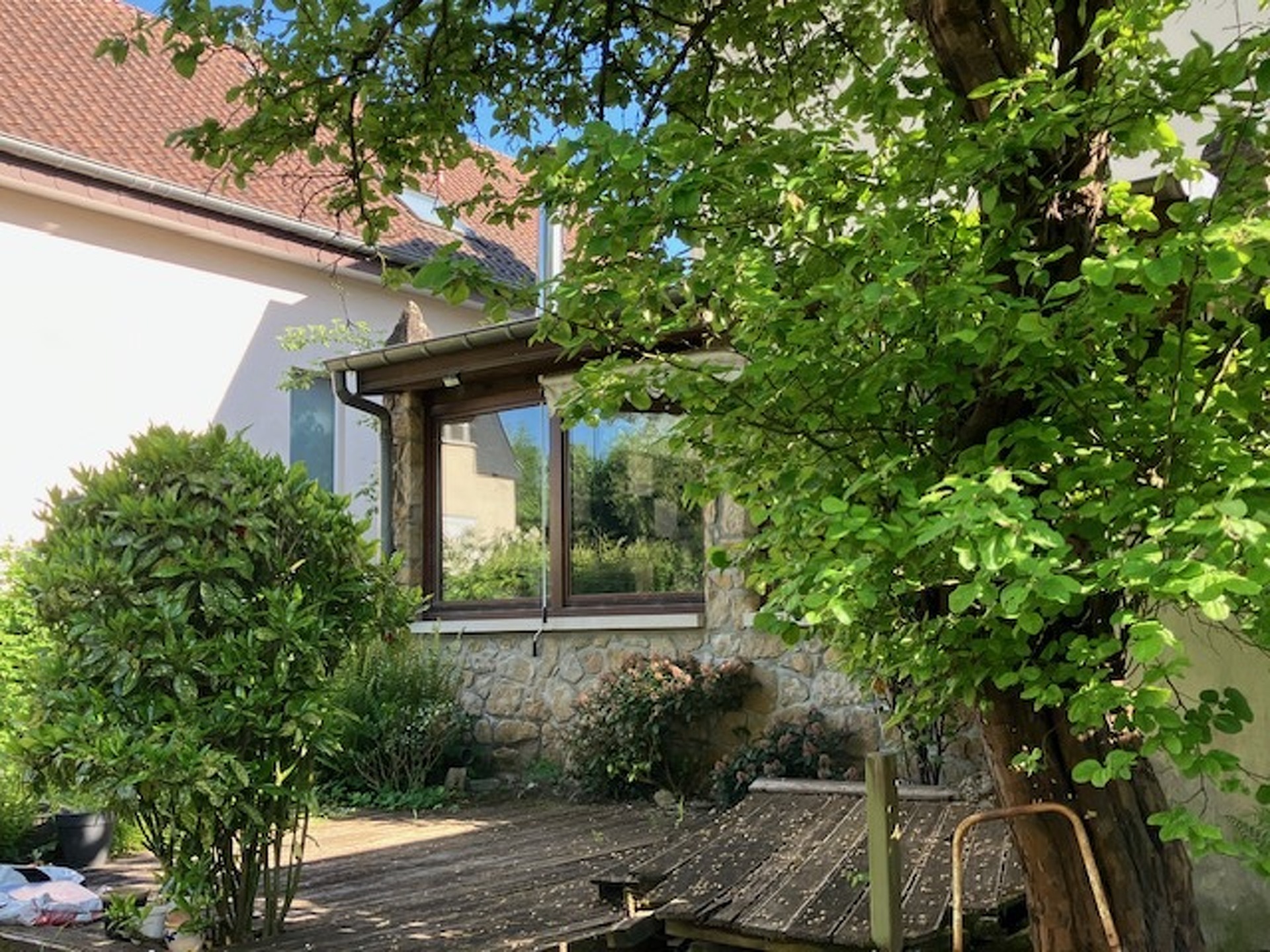 Image 14