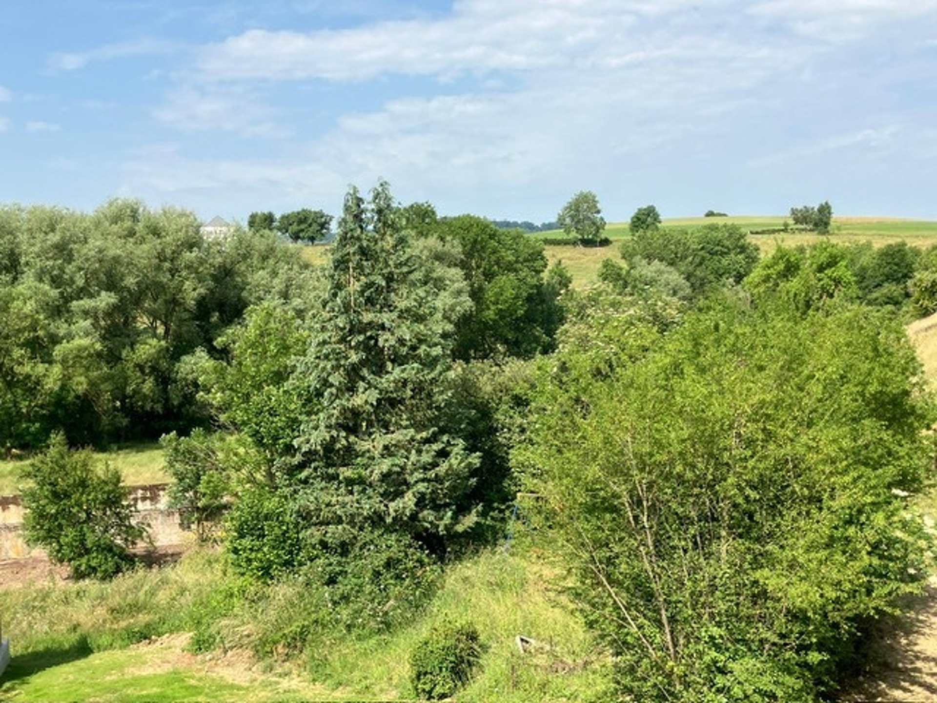 Image 7